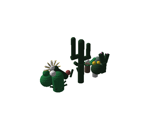 CactusCollection